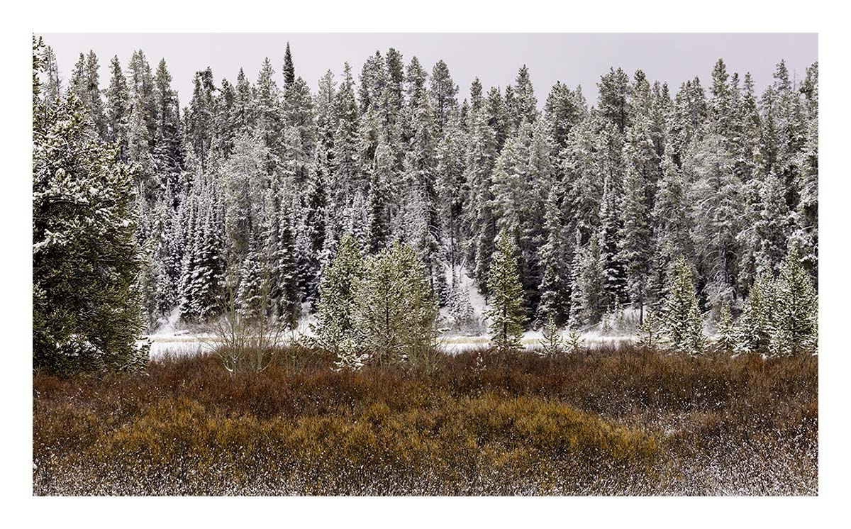 Grand Teton NP
